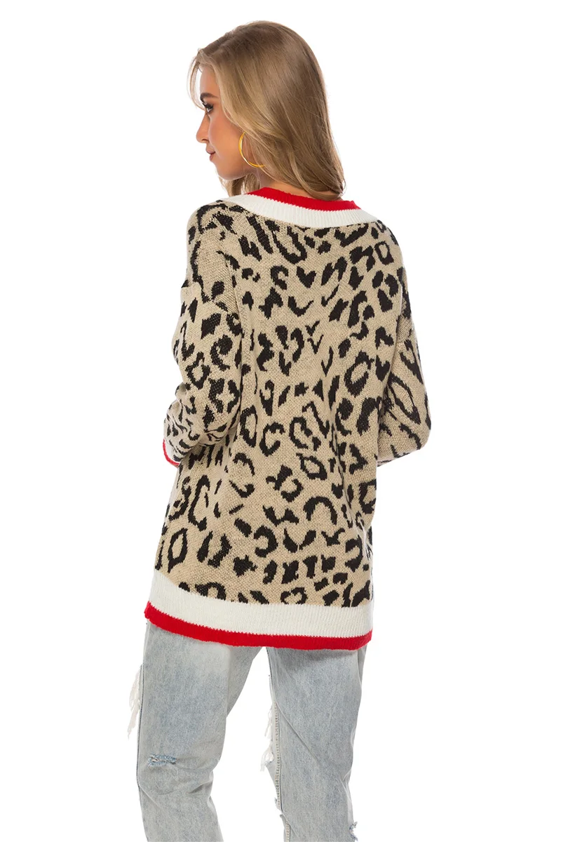 Fitshinling Leopard V Neck Sweater Autumn Winter Pullovers Knitwear Boho Casual Slim Jumper Sweaters For Women Clothing 2019 New | Женская