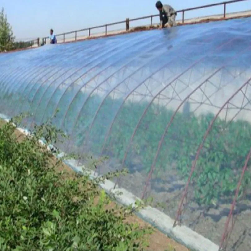 ПВХ палатка для выращивания растений зеленая крышка теплиц тенты пленка