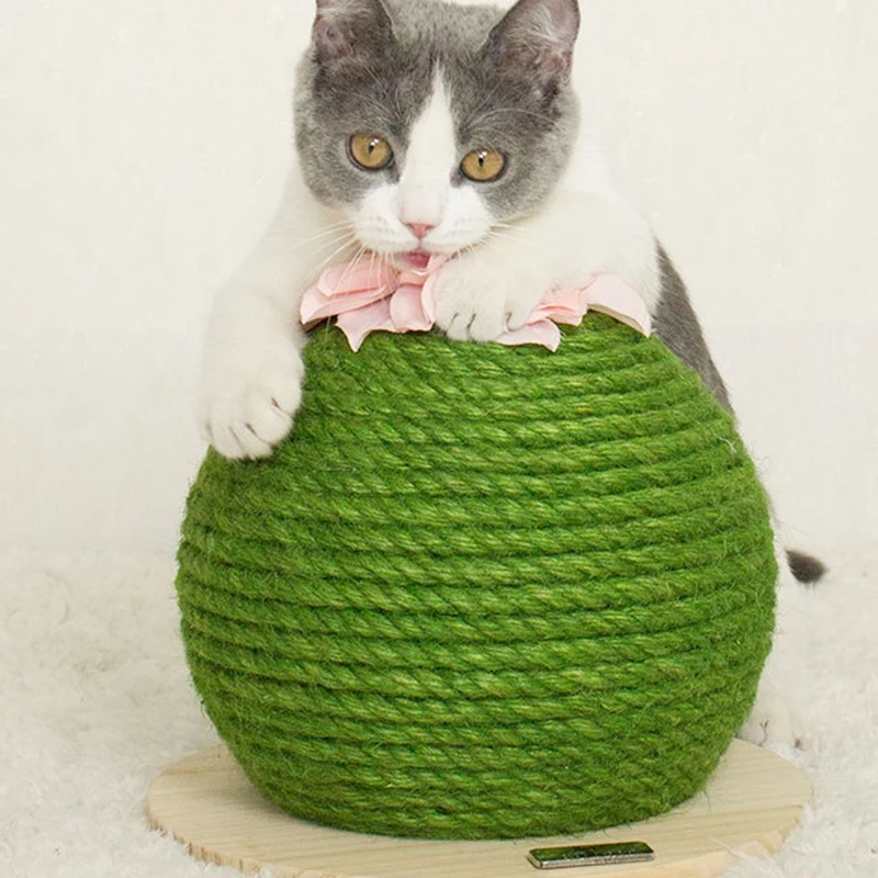 

Cat Scratching Board Pricky Pear Cat Toy for Kitten Cactus Cat Product Scratch Pad Sisal Cat Scratcher Game Decoration