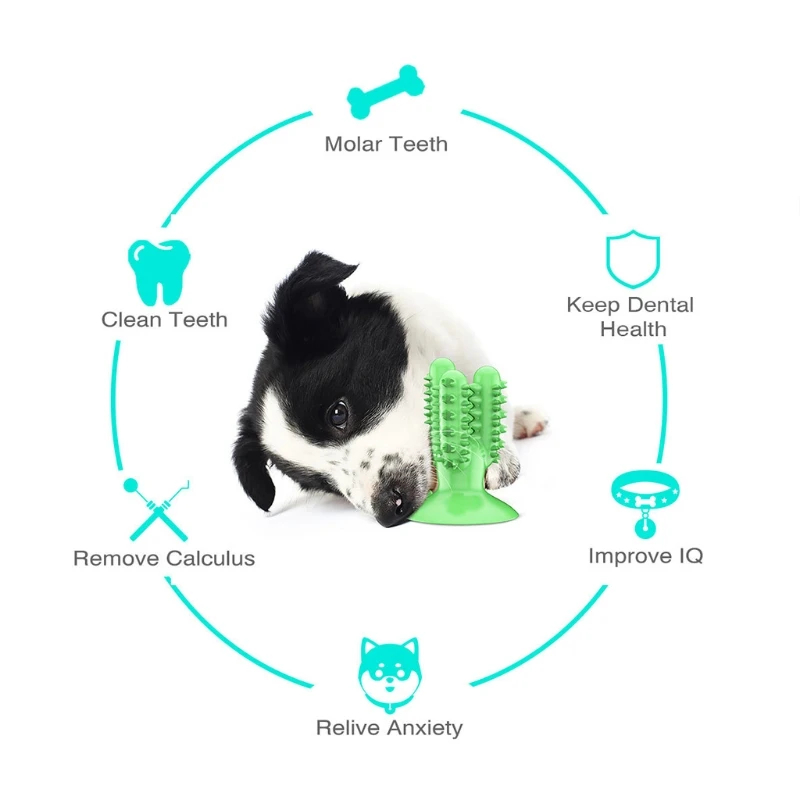 

Pet Bite Training Chew Toy Cactus Food Spiller Dog Toothbrush Dental Chewing Toy Q1JB