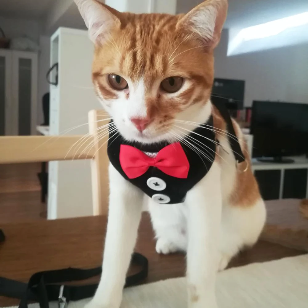 Элегантный жилет с поводком для собак и кошек регулируемый костюм смокинг бантом