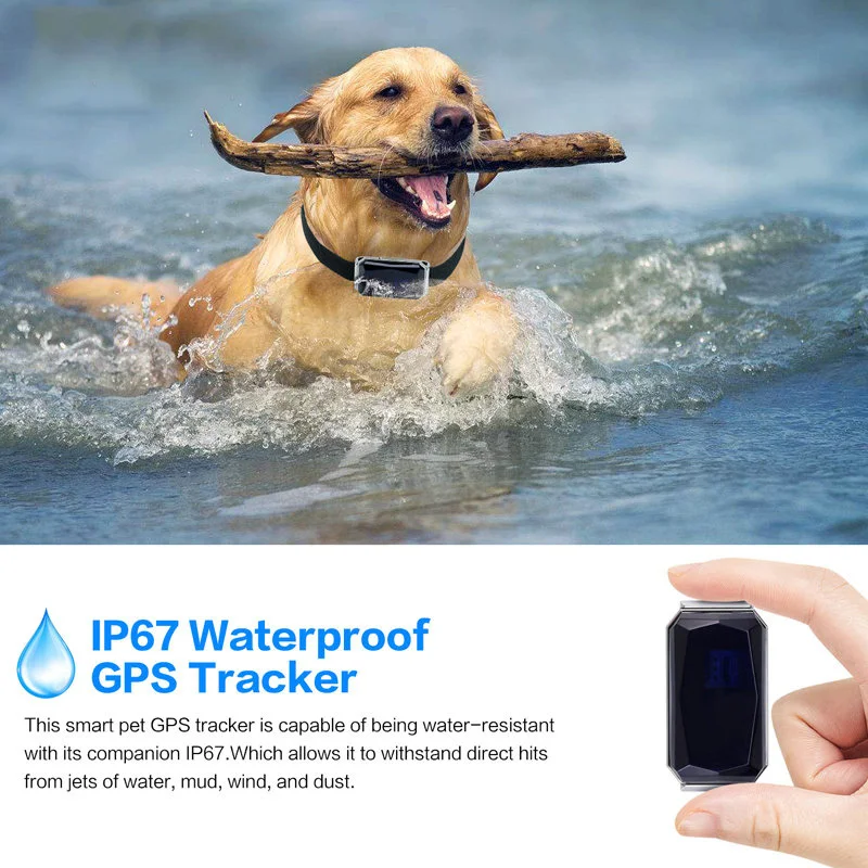 Домашнее животное мини Gps трекер Ip67 водонепроницаемый ошейник Gsm Agps Wifi Lbs