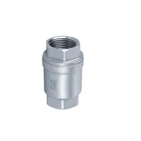 bspt 1 dn25 stainless steel ss304 check valve 1000 wog thread in line spring vertical control tool