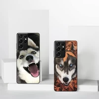 animal dog husky phone case for samsung a51 a32 a52 a71 a50 a12 a21s s10 s20 s21 plus fe ultra