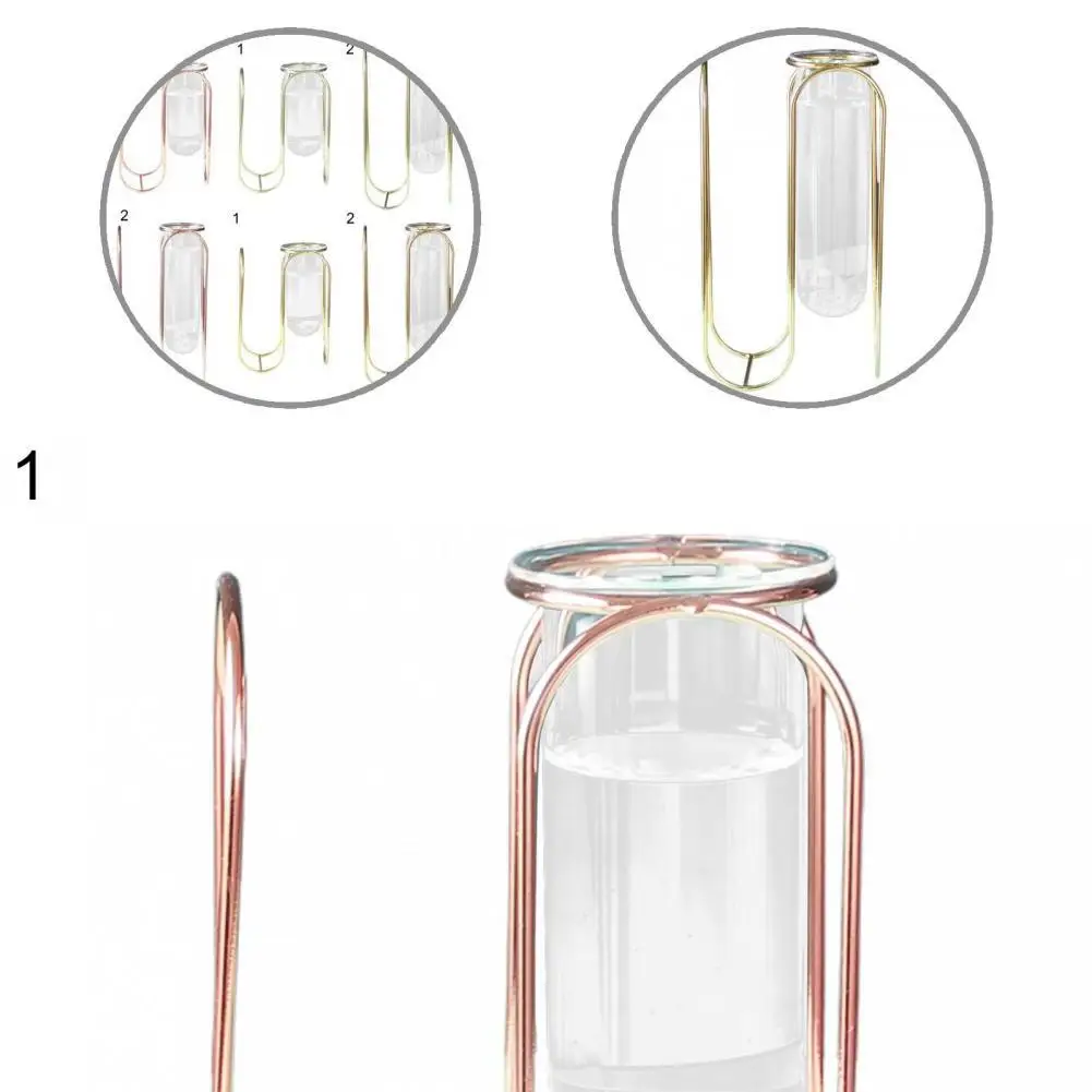 

Sturdy Construction Practical Transparent Hydroponic Flower Pot Decor for Dorm