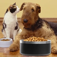 stainless steel dog bowls puppy cats food drink water dish feeder travel feeding non slip feeding dishes pets supplie