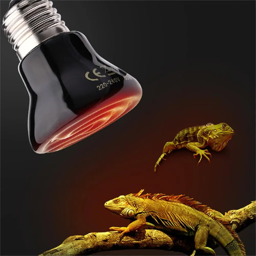 E27 FarInfrared Ceramic Pet Heating Lamp Tortoise Spider Reptiles Heater Warmer Light Bulb Brooder 25W50W75W100W 220V