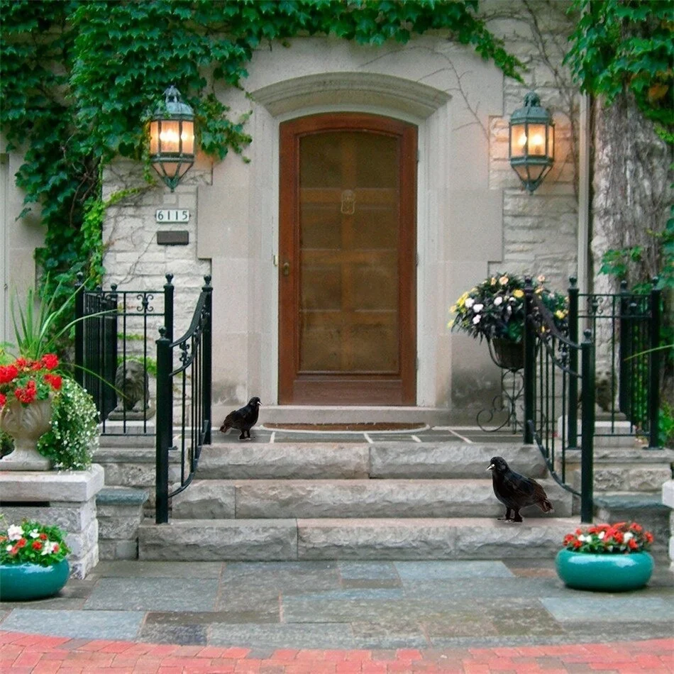 Ворона для Хэллоуина 2 шт./компл. | Дом и сад