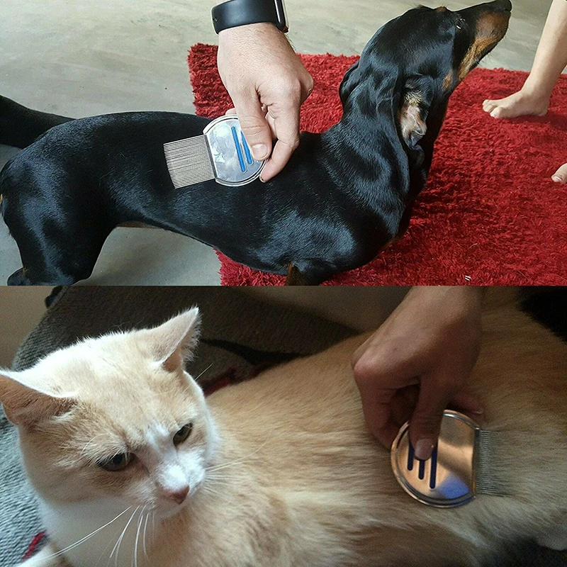 3 Color Pet Removes Flea Comb Cat Dog for nits & eggs Removal Tools Pets products Steel Metal Head gr8 | Дом и сад