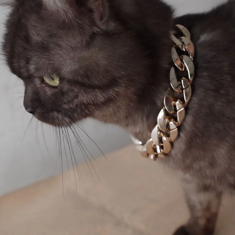 

36/45CM Hiphop style Necklace Collars For Pet Dog Thick Gold Chain Plated Plastic Identified Safety Collar Puppy Supplies