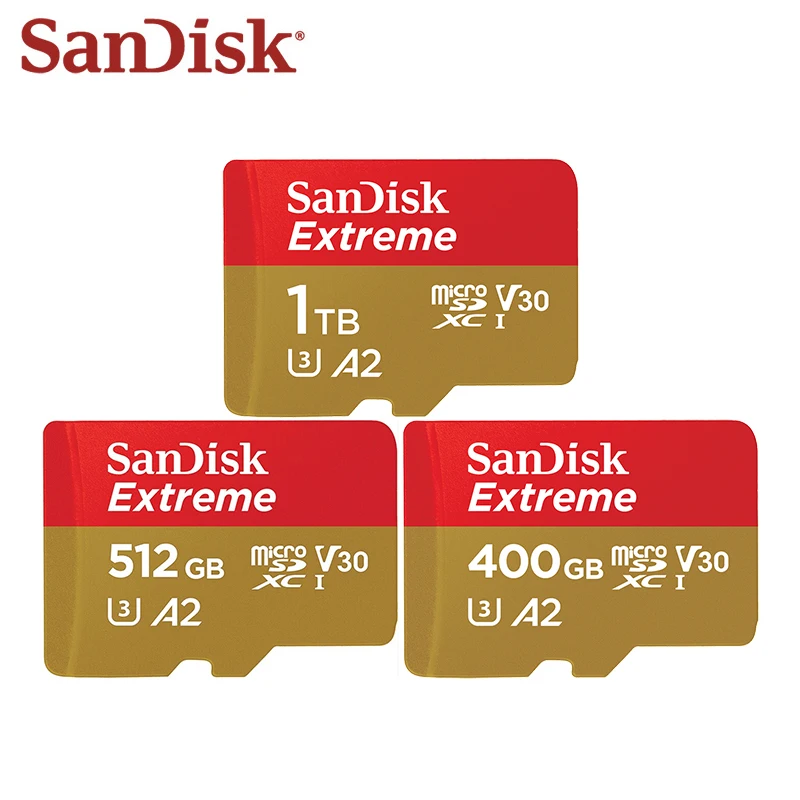 100%   - SanDisk Memory Card 1     160 / A2 Class 10 400  512 UHS-I  SD  V30 U3 TF 