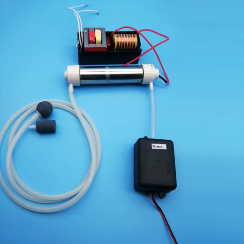 110V with Accessory 220 V/110 V SilicaTube генератор озона 2 Гц/ч для очистки воздуха и воды 1 комплект начинается Аксессуары Дополнительно - Цвет: 110V with Accessory