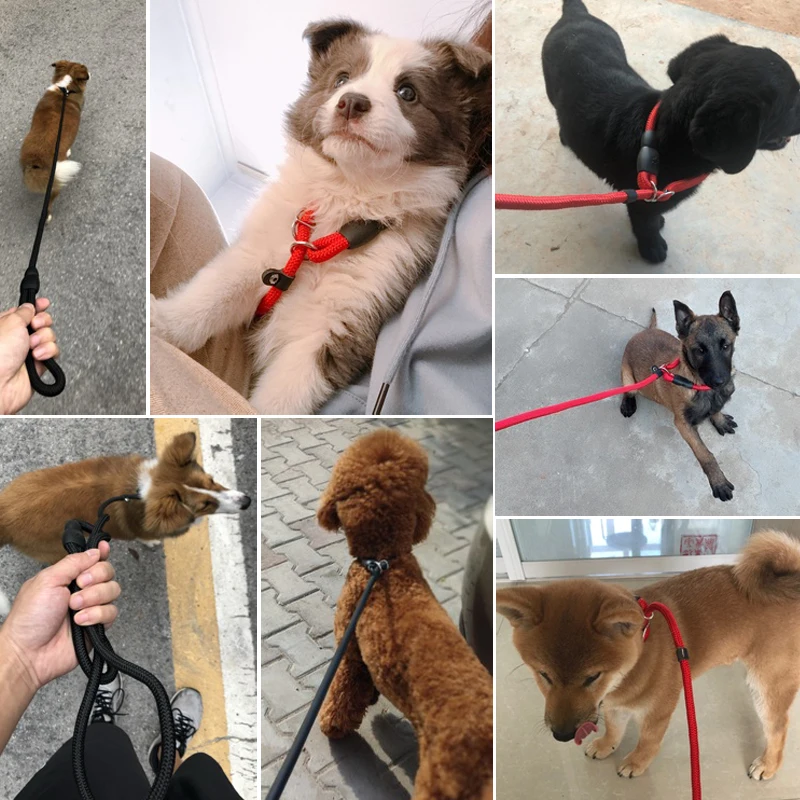 

P-Type All-in-one Dog Traction Rope Walk The Dog Leads Quick in-off Adjustment Tightness Limit Buckle Anti-stroke Anti-breakaway