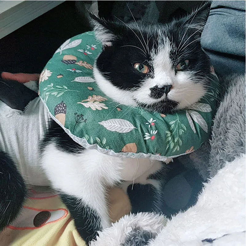 Удобный электронный ошейник для домашних животных маленьких собак и кошек