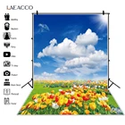 Laeacco голубое небо облака весенние цветы трава фоны фотографии природный пейзаж Новорожденный ребенок Портрет фон фотостудия