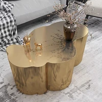 chinafurniture manufacturing factory nordic light luxury creative stainless steel special shaped coffee table