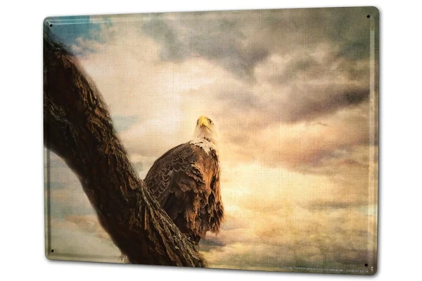 

Tin Sign Bird Eagle