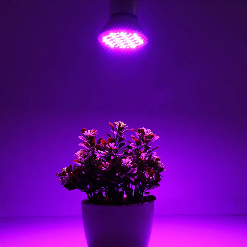 

10pcs/lot Full Spectrum LED Grow Light Bulbs E27 Phytolamp Red Blue Lamps For Indoor Flowers Plants Growth Cultivation Aquarium