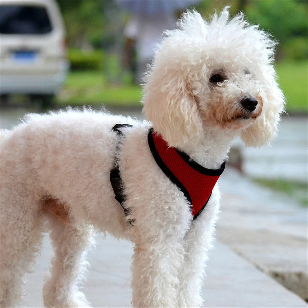 Регулируемая шлейка для собак Воздухопроницаемый Сетчатый поводок кошек