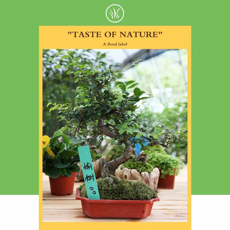 Многоразовые ярлыки из ПВХ для растений 100 шт. пластиковые деревьев фруктов