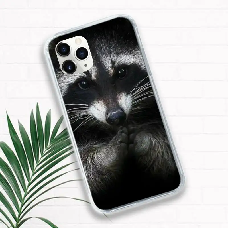

Animal Raccoon Phone Case Transparent for iPhone 11 12 mini pro XS MAX 8 7 6 6S Plus X 5S SE 2020 XR
