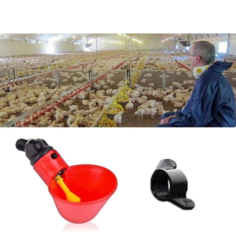 

24Pcs Feed Automatic Bird Coop Poultry Chicken Fowl Drinker Water Drinking Cups Livestock Drinking Cup Poultry Tools