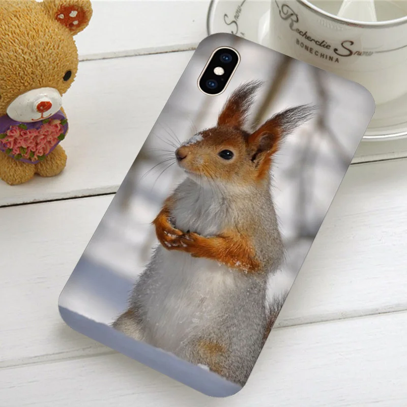 Мягкие чехлы для телефонов с изображением Красной белки Sciurus Vulgari iPhone X XR XS 11 Pro Max 4