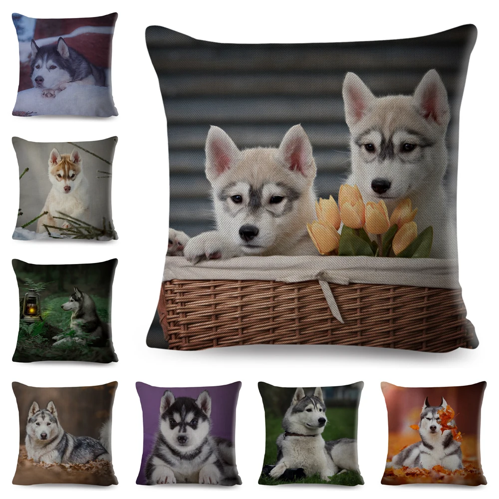 

Cute Dog Printed Cushion Cover for Sofa Home Car Decor Pet Animal Siberian Husky Pillowcase 45*45cm Polyester Pillow Case كرسي