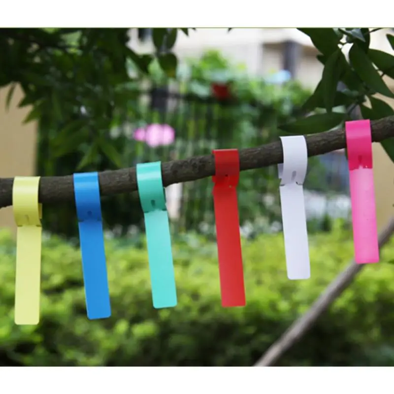 

100pcs 20*2cm Plastic Nursery Garden Decor Stake Tags Plant Labels Lawn Ornament White/Blue/Pink/Green/ PVC Markers Garden Tool