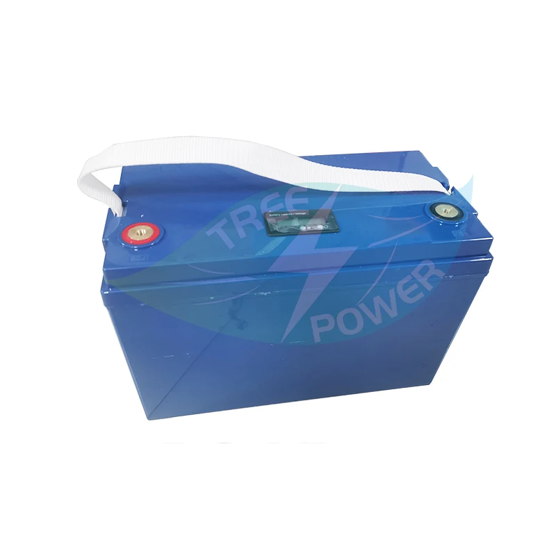 24V 100AH 50Ah 80Ah 120Ah литий-ионный аккумулятор с BMS 7S для грузоподъемник тележки гольфа