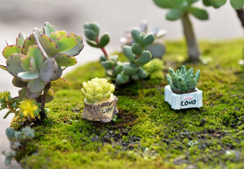 

Lifelike Mini Artificial Fleshy Cactus Plant Micro Landscape Decorative Miniature Figurines Diy Potted Garden Home Decorative#13