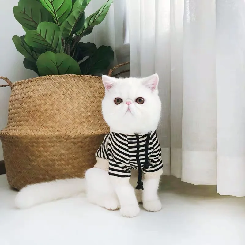 Французский бульдог зимняя теплая толстовка с капюшоном Одежда для животных