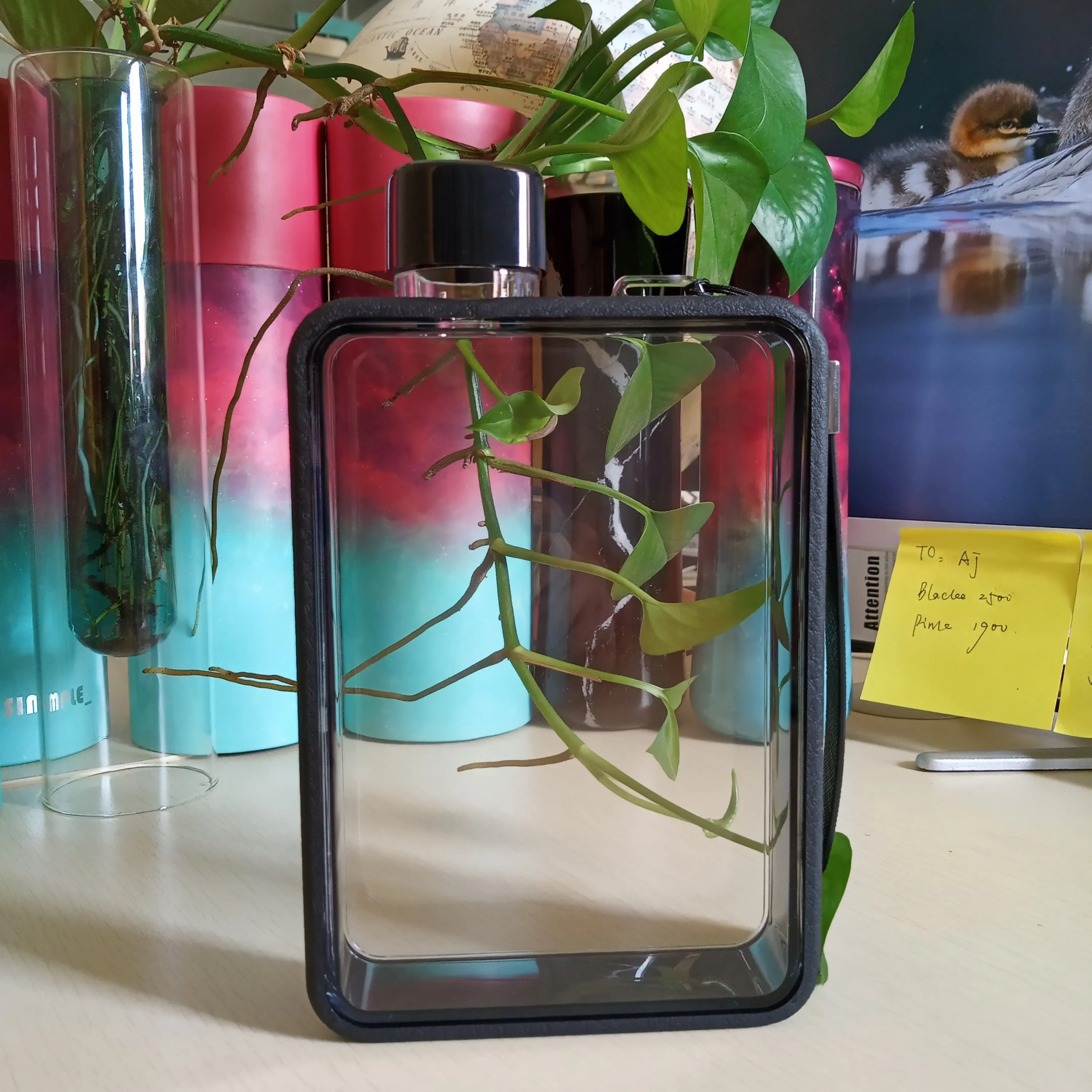 Милая Корейская бутылка для воды на заказ Дамская чашка портативная бумажная