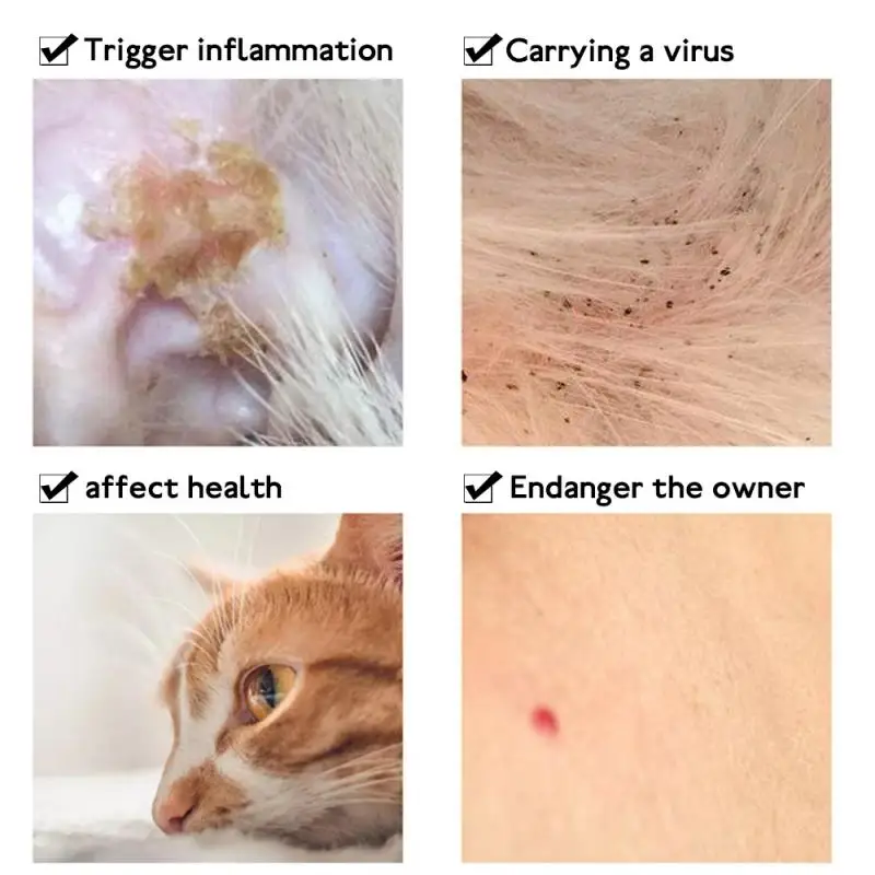 

Cat Dog Anti Flea Mite Tick Collar No Flea Grooming Tool Quadruple Removal Flea Effect Kitten Remedy Neck Pet Supplies Cat Pet