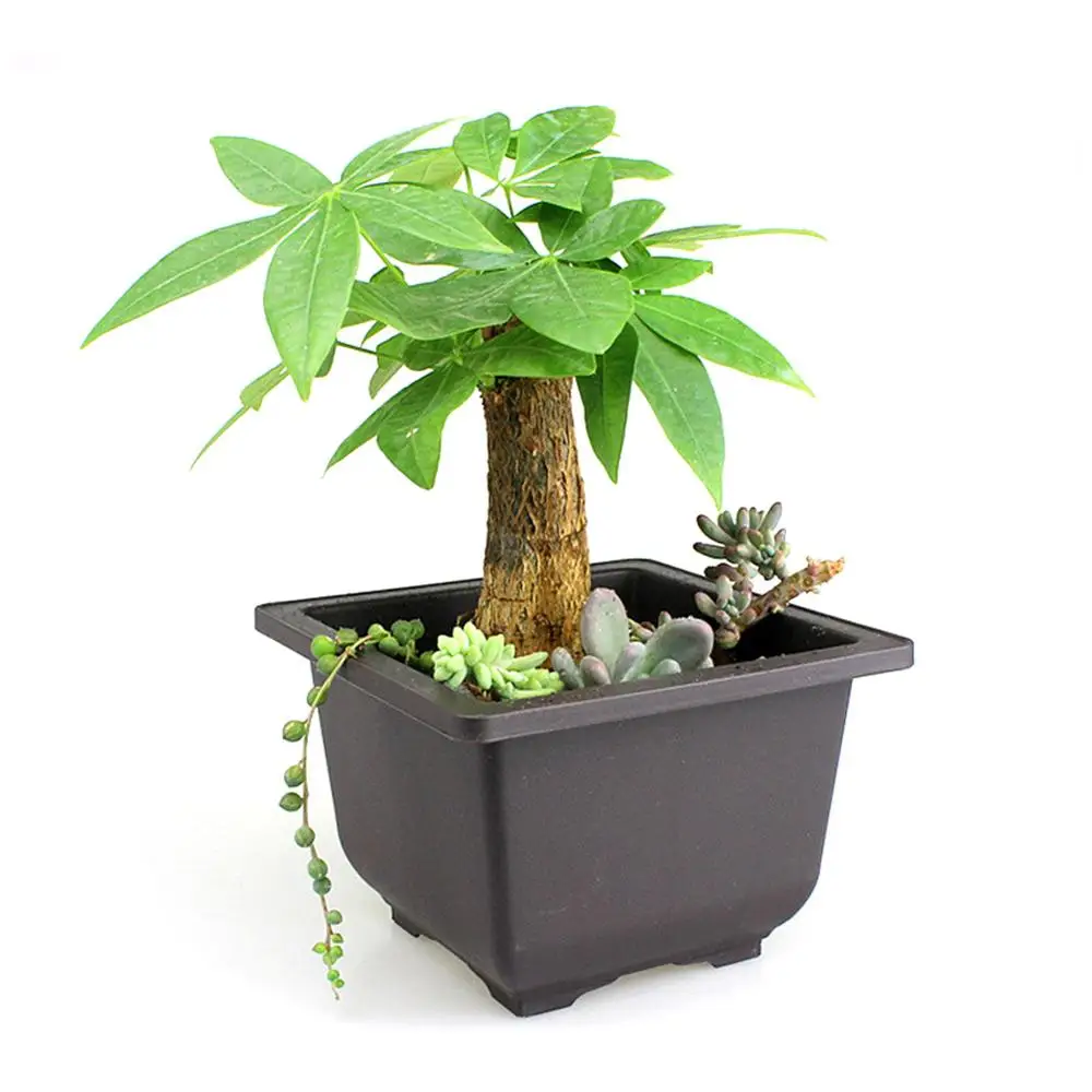 1 шт. кубический цветочный горшок балконные квадратные карликовые горшки