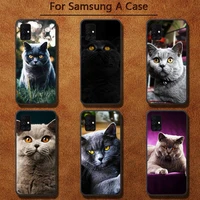 british shorthair cat phone case for samsung a91 01 10s 11 20 21 31 40 50 70 71 80 a2 core a10
