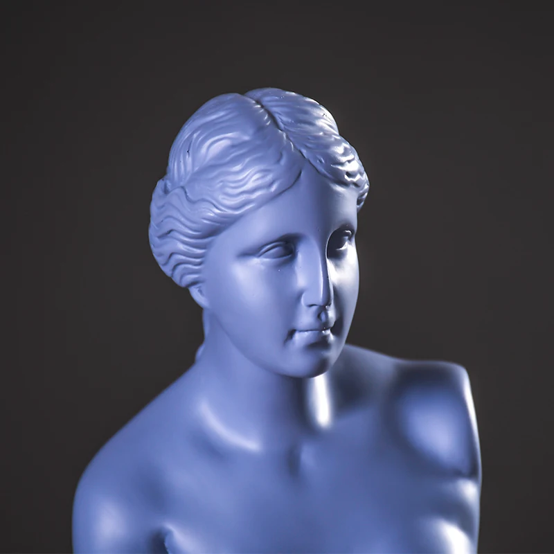 

Venus STATUE DECORATION personalized home decoration office model room hotel art decoration