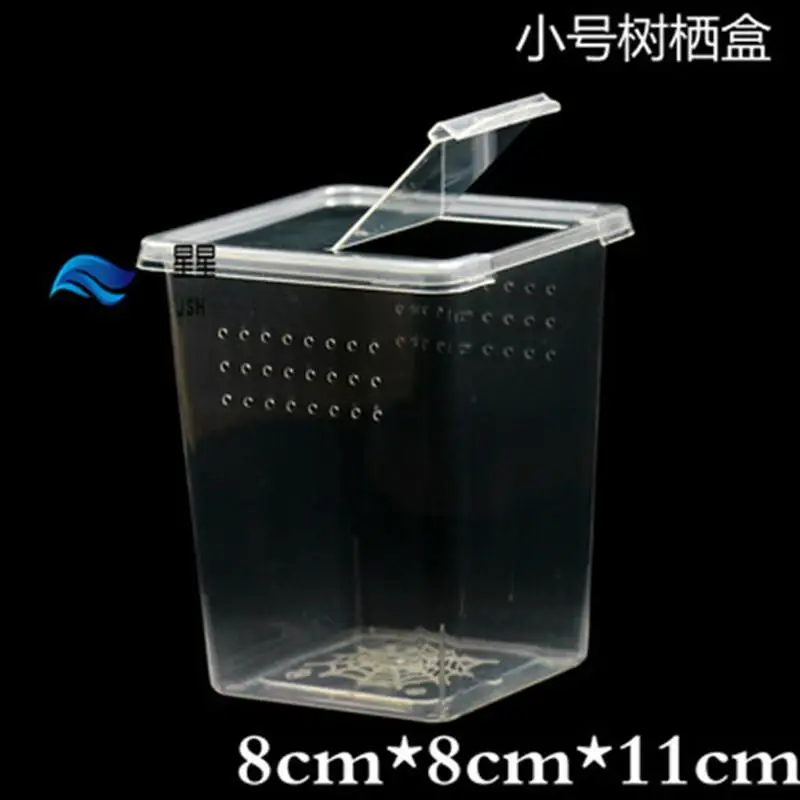 Прозрачная пластиковая коробка для кормления рептилий 33/10/7 шт.|Товары насекомых|