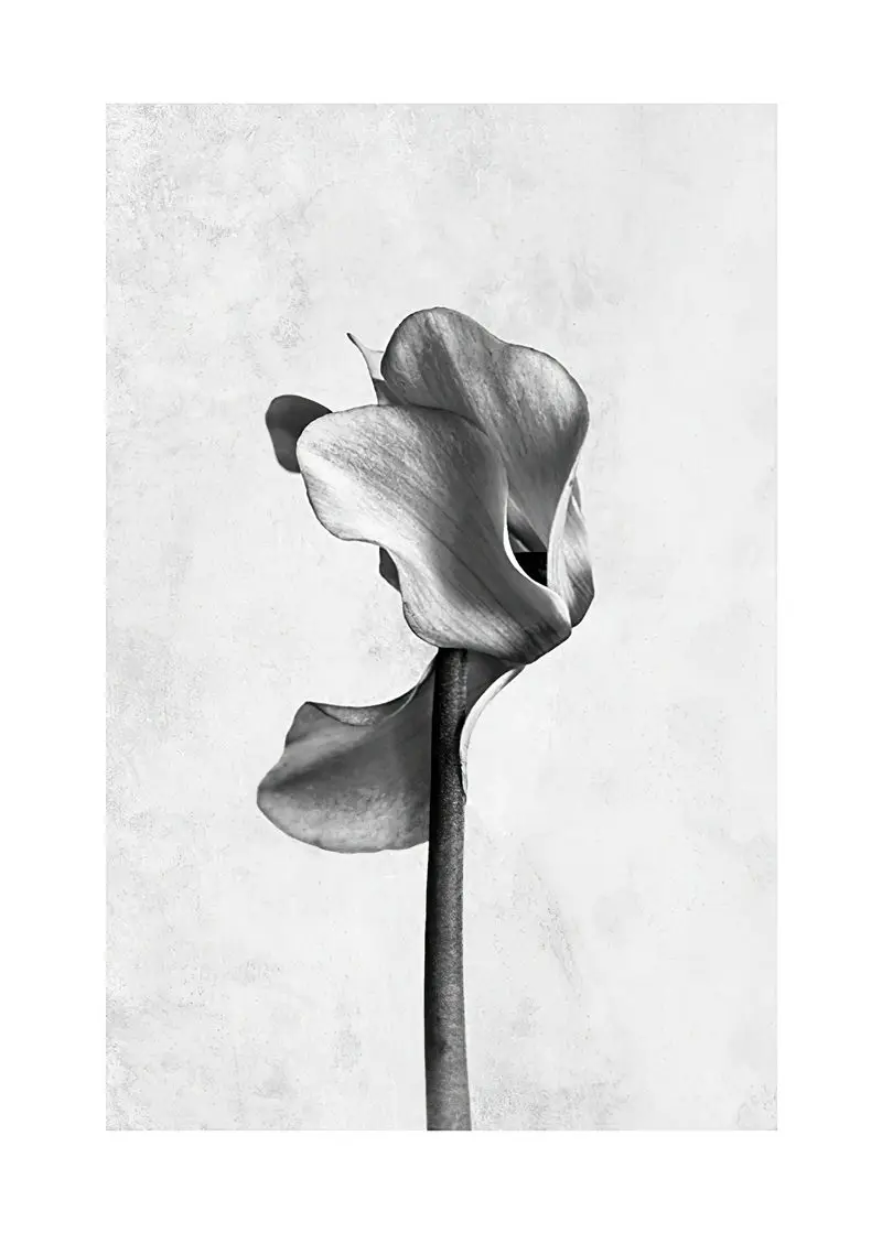 

Modern Abstract poster Home Decor Nordic Canvas Painting Figure picture Minimalist Black and White Wall Art Print for Bedroom