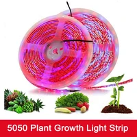 DC12V 5050 LED Plant Growth Light Strip Full Spectrum 5M Flower Plant Light IP65 Waterproof Greenhouse Hydroponic Plant