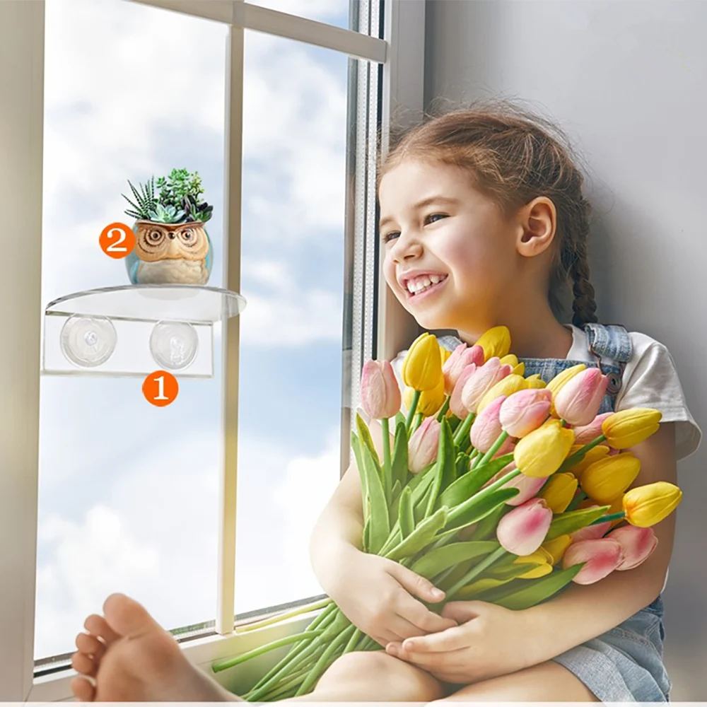 1 шт. Тип окна Дисплей стеллаж для выставки товаров в помещении садовое растение