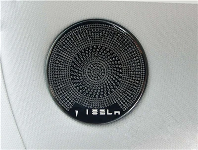 for A pillar Внутренние аксессуары для Tesla модель 3 Модель 3 дверная акустическая крышка столб отделка динамиков декоративная наклейка на рамку - Название цвета: for A pillar
