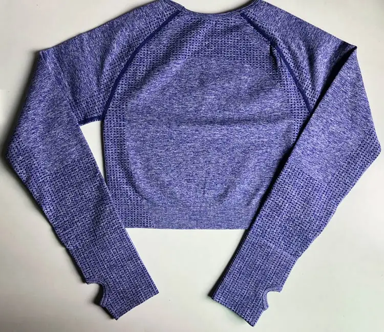 purple Женские топы для фитнеса, спортивный короткий топ, куртка для бега, спортивная одежда, бесшовная спортивная одежда с длинным рукавом, куртка для йоги, женские рубашки для тренировок - Цвет: purple