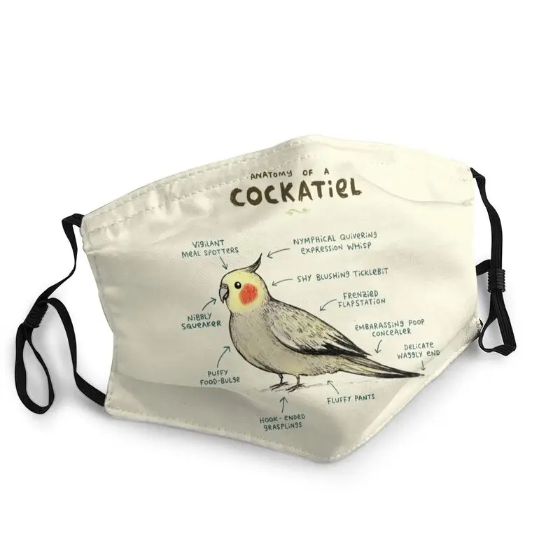 

Anatomy Of A Cockatiel Face Mask Adult Anti Haze Parrot Bird Mask Protection Respirator Non-Disposable Mouth Muffle