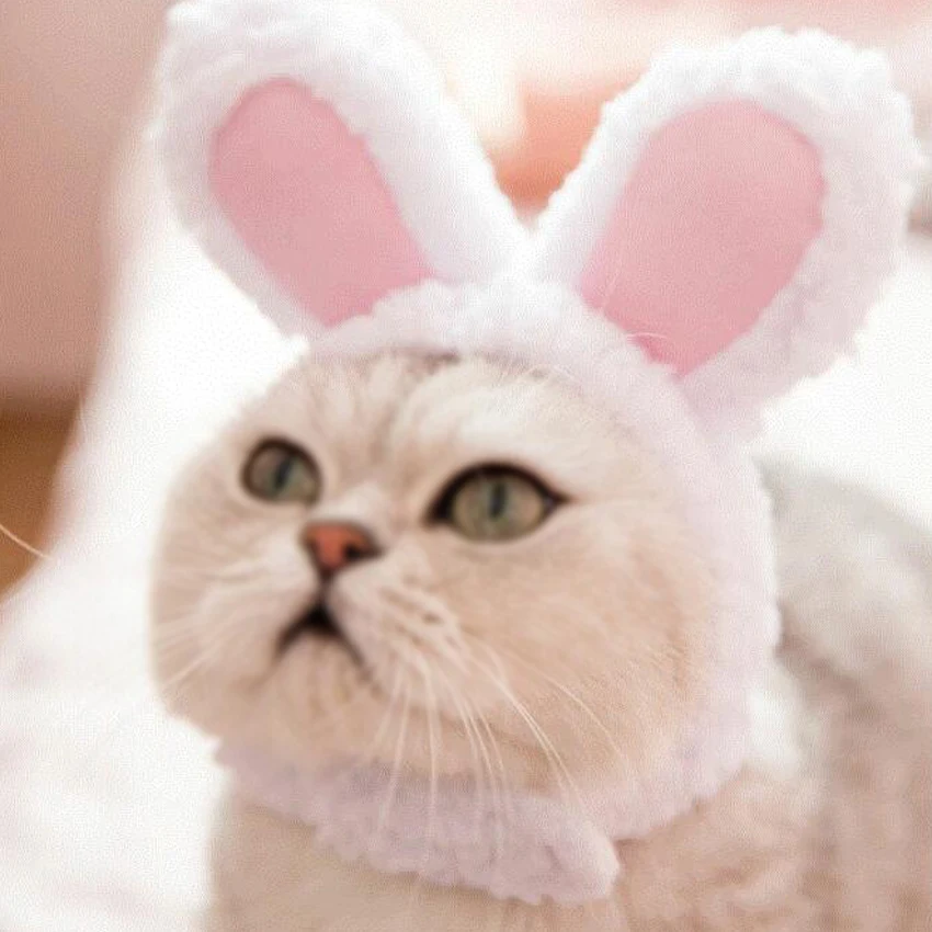 Белая шапка для собак и кошек плюшевая шляпа косплея головной убор маленьких |