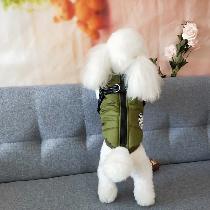 

Pet Products