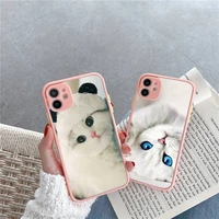 animal cat phone case matte transparent for iphone 7 8 11 12 s mini pro x xs xr max plus clear mobile bag funda coque cover