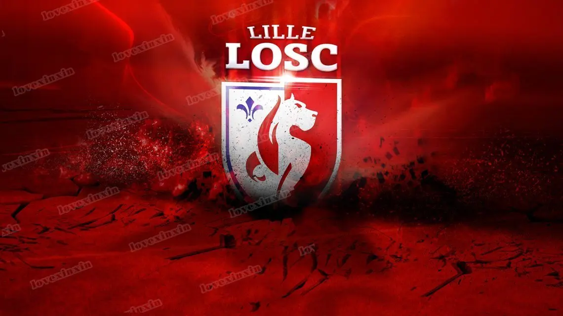 Настенная Картина на холсте с изображением футбольной команды Лилля без рамки |