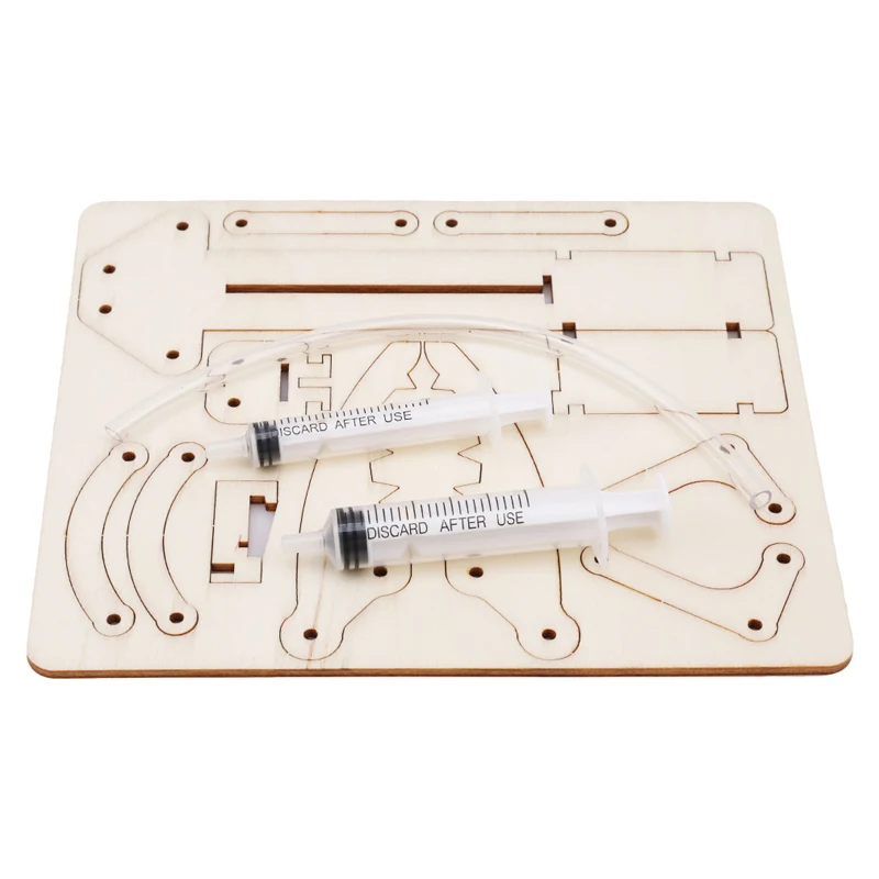 

Science And Technology Student DIY Piston Hydraulic Mechanical Arm Model Material Experiment Toy Beneficial Wisdom New