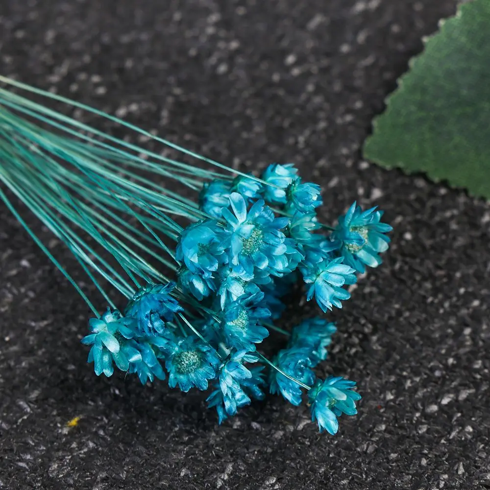 30 шт. декоративные сушеные цветы Ромашка | Дом и сад